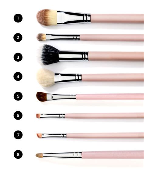 Upgrade Your Makeup Collection with the Magic Light Brush Set